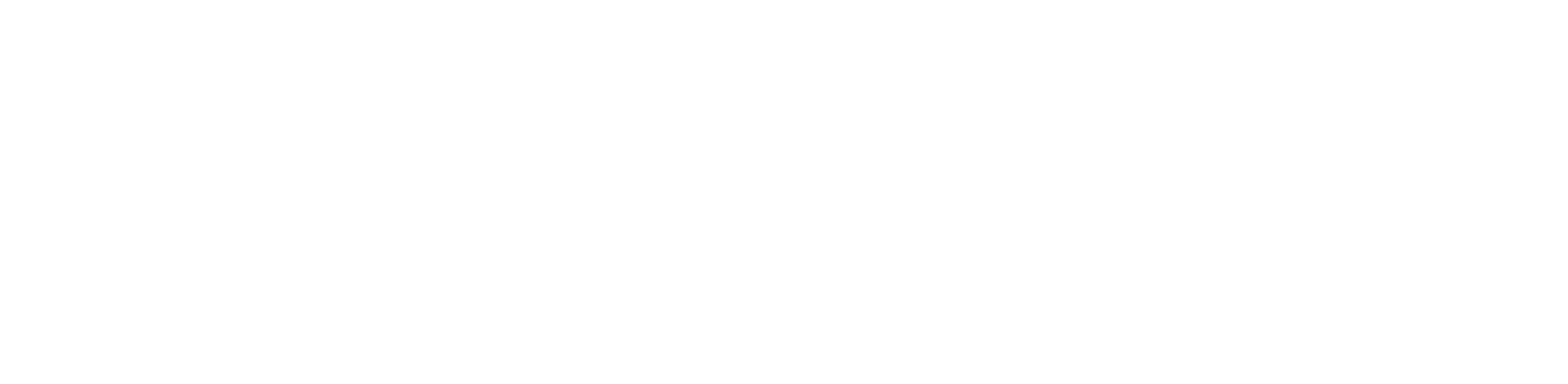 Plan-B Net Zero